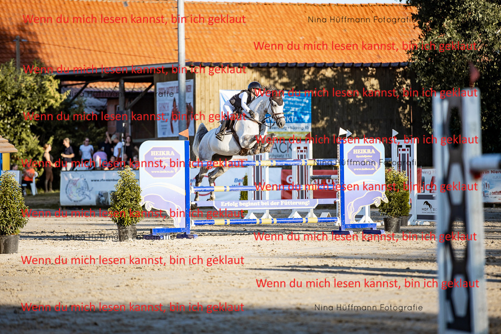 BK1A8529 | Turnierbilder Turnierfotos Nina Hüffmann Turnierfotografie Pferdefotografie Tierzeichnung Haustierzeichnung Pferdezeichnung Hundezeichnung Videograf  - Realisiert mit Pictrs.com