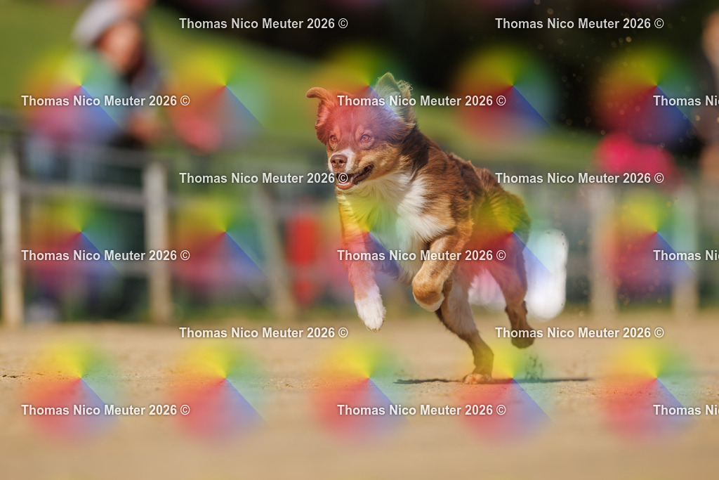 Thomas_Nico_Meuter(C)_03. Oktober 2026_223A3673 | Bild von Thomas Nico Meuter - Realisiert mit Pictrs.com