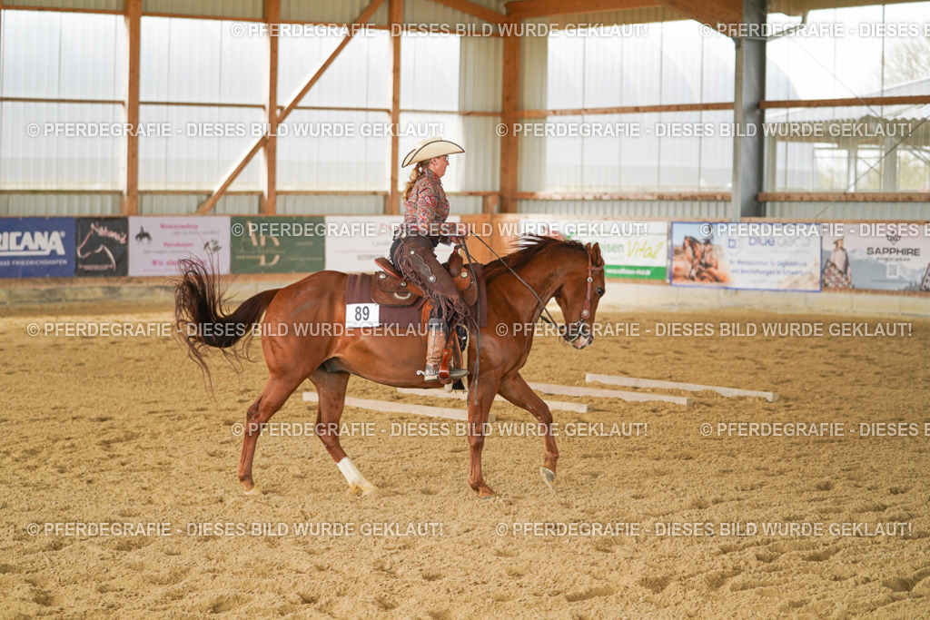 DSC03648 | Pferdegrafie