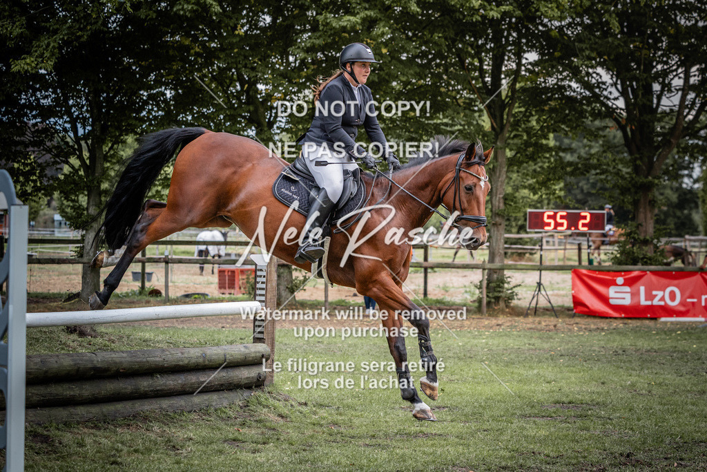 nelerasche_AmmDerbyEde_81 | nelerasche