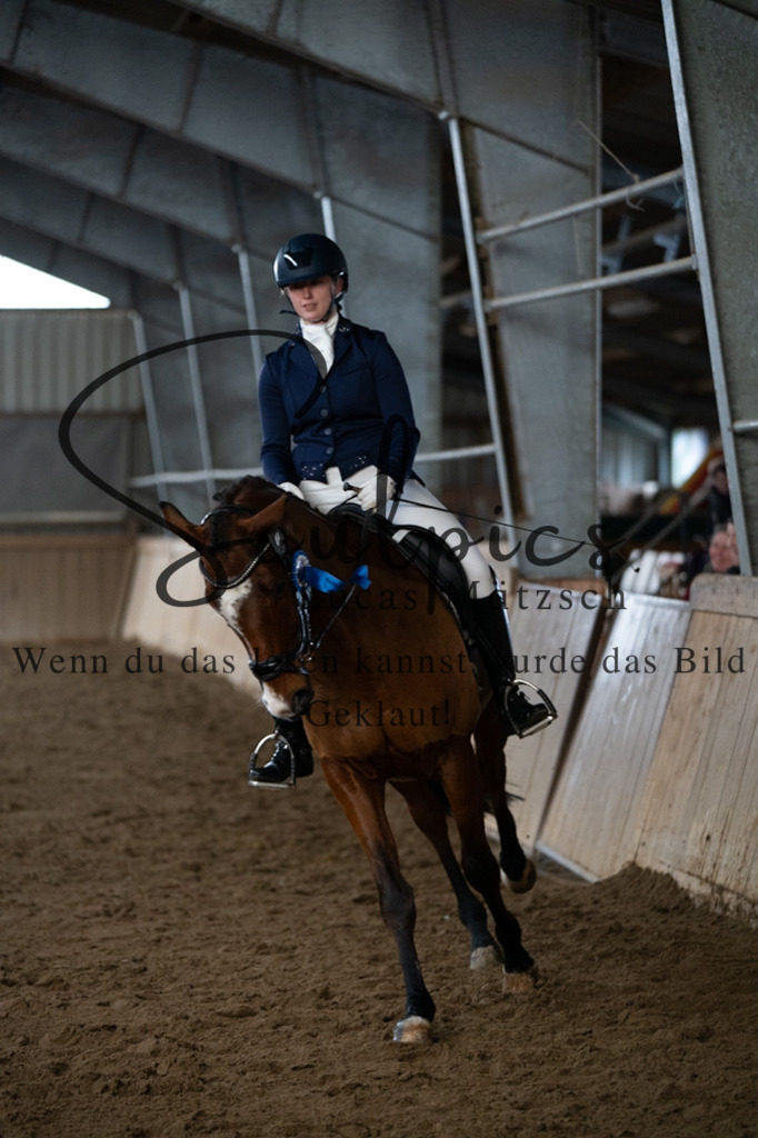 A7V04674 | Pferdefotograf