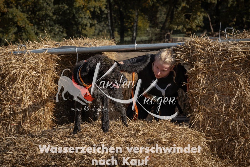 1051_ZZ99429 | kk-dogfotos