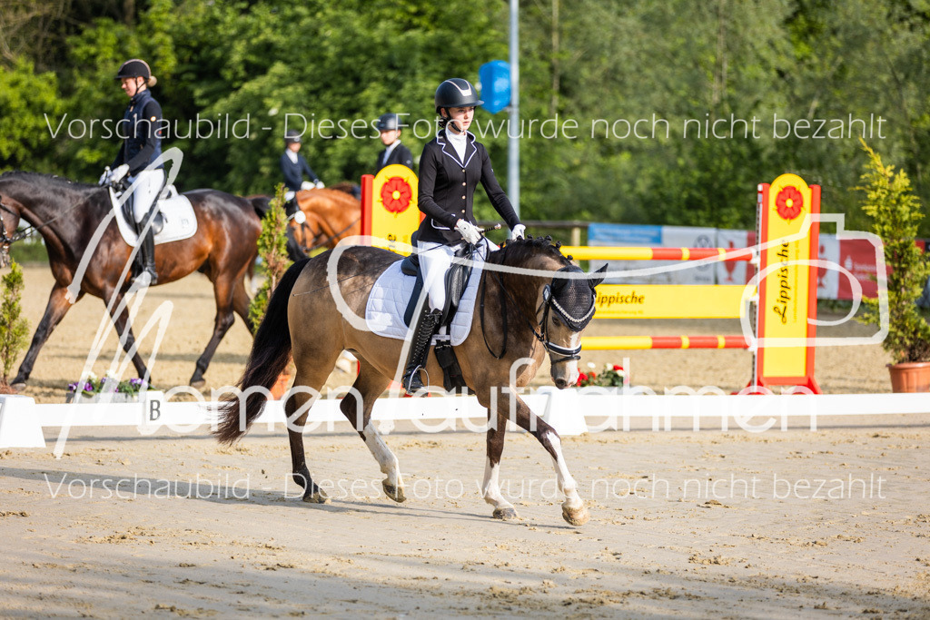 Donop24-A-Dre-005 | MomenTaufnahmen Pferdesportfotos