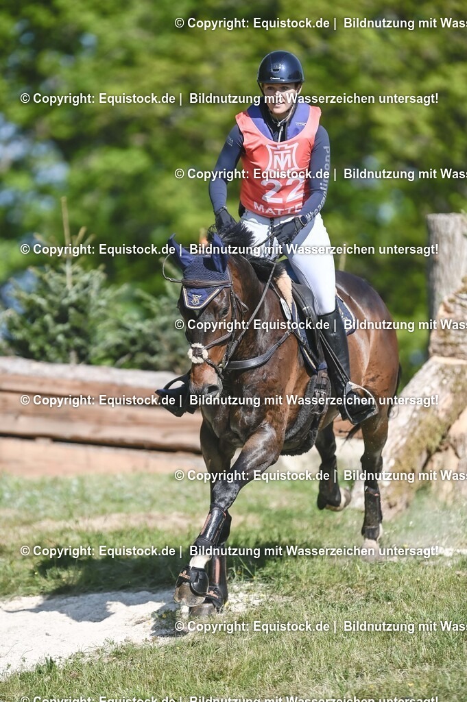 20250517_CCI2_Gelände_0616 | Foto: Thomas Hartig