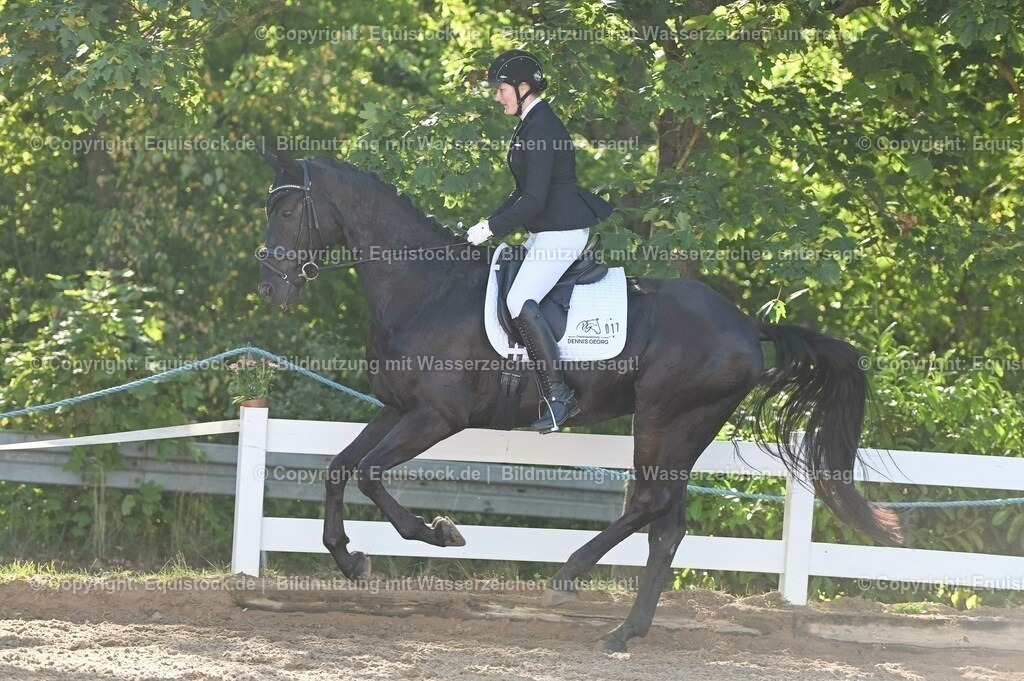 20230715_06_Dressurpferdeprfg. Kl.A_0023 | equistock