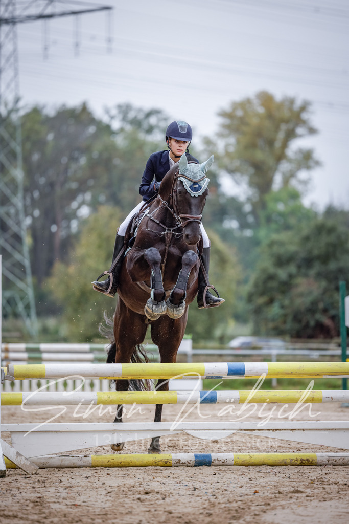 20251012-_3LI3293 | Tierfotografie Pferde, Hunde, Katzen, Haustiere.
Turnierfotografie Reitturniere, Reiten, Springreiten, Dressur in Hanau, dem Main-Kinzig-Kreis und dem Rhein-Main- Gebiet um Frankfurt