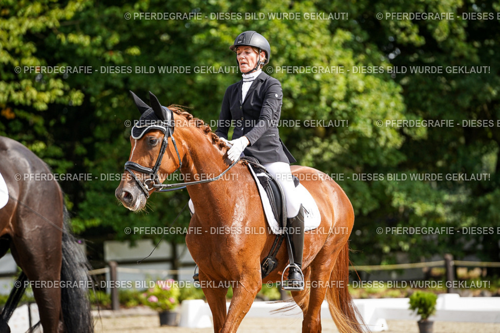 DSC07211 | Pferdegrafie