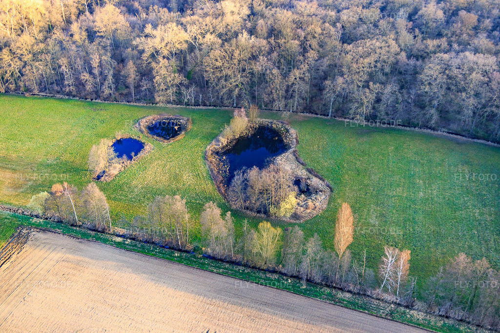 Luftbild: Biotop am Altbach im Winter im Ortsteil Minderslachen in Kandel im Bundesland Rheinland-Pfalz in Deutschland. Foto: IMG_076783.jpg vom 28.03.2015 durch Werner Riehm/FLY-FOTO.de