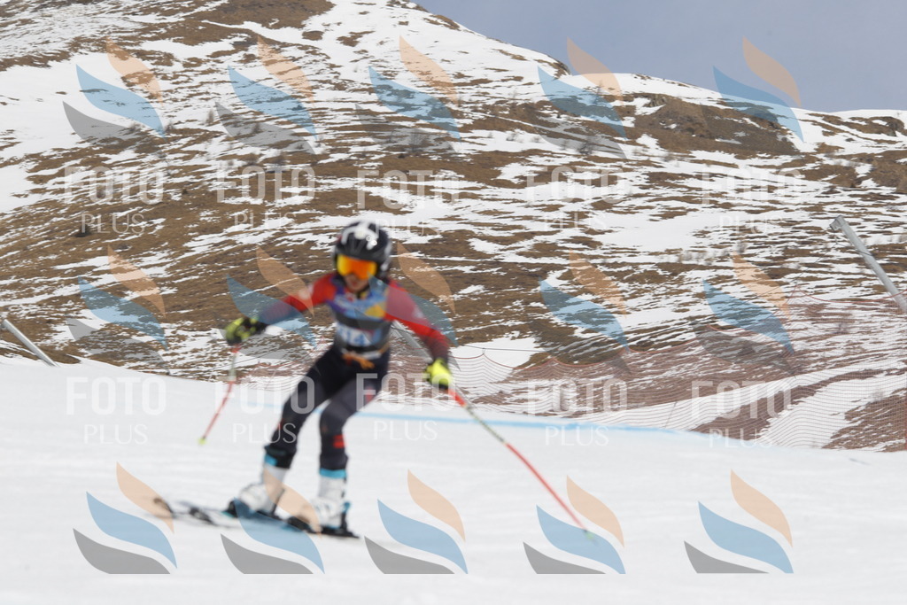 _U3G2278 | holidayphoto