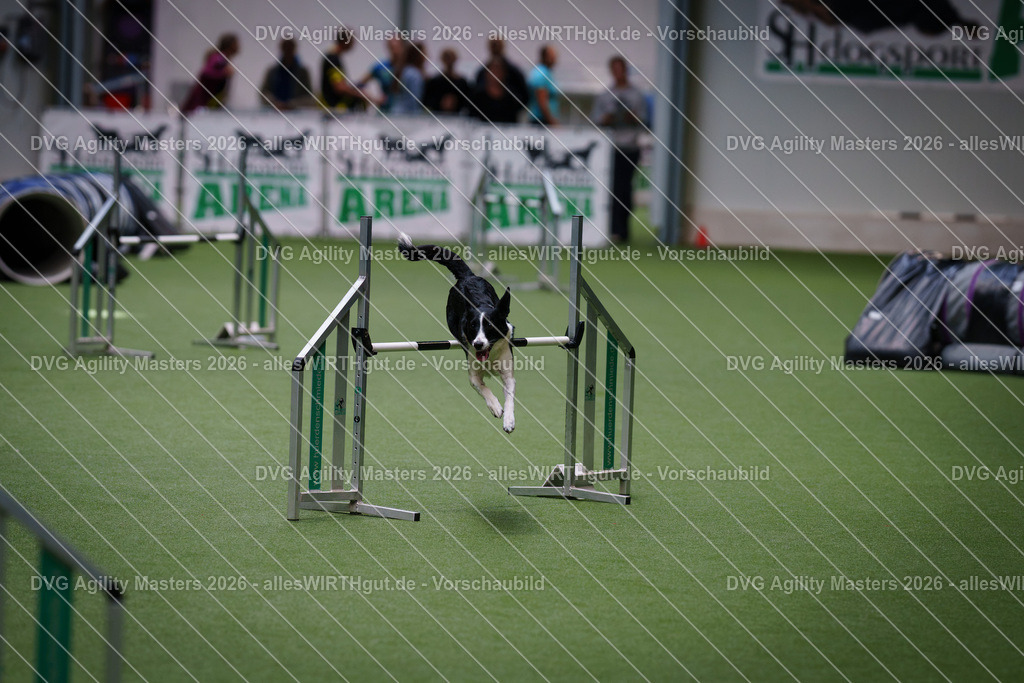 allesWIRTHgut_Tierfotografie-DVG_Agility_Masters_2026-09_27-7R501734 | Professionelle Tierfotografie in Mönchengladbach von Daniel Wirth (allesWIRTHgut). Liebevolle & natürliche Bilder von Hunden & Katzen für unvergessliche Erinnerungen.