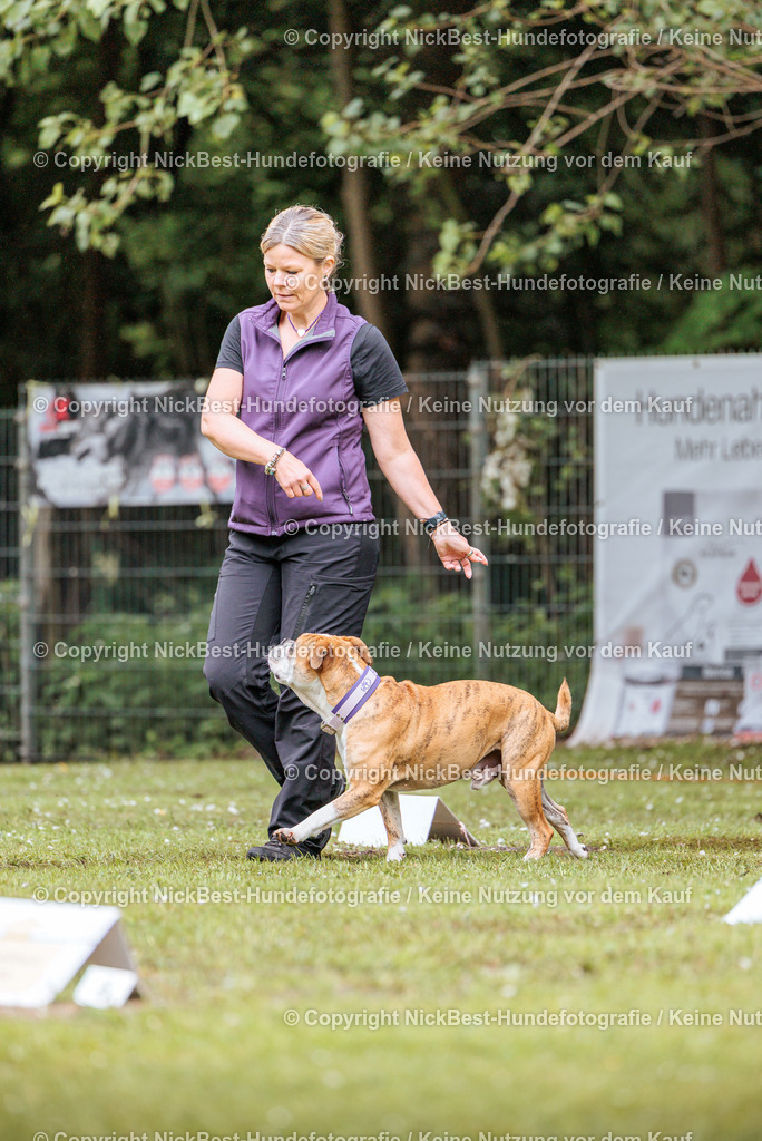 RO-Blumenthal-2026-Nickbest-Hundefotografie-1149 | Dein Hund! Dein Moment! Deine Erinnerungen! Hundefotografie in Bremen Blumenthal. Ich fange die besonderen Momente deines Vierbeiners ein – ob Indoor mit Blitzanlage oder in der freien Natur. Sicher dir dein Moment und dein Termin für eure Erinnerungen.