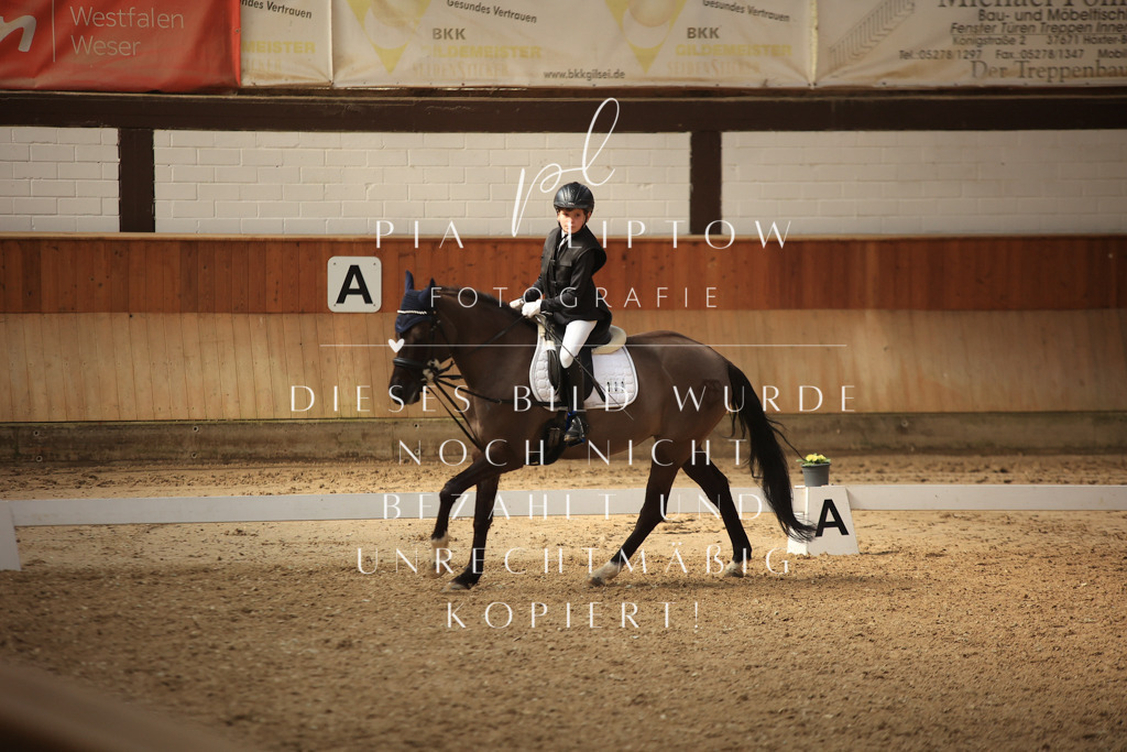 IMGT5789 | pl-fotografie