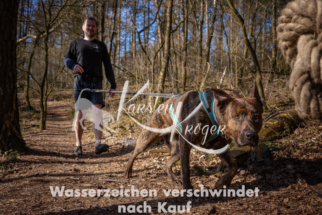0914_ZZ96777 | kk-dogfotos