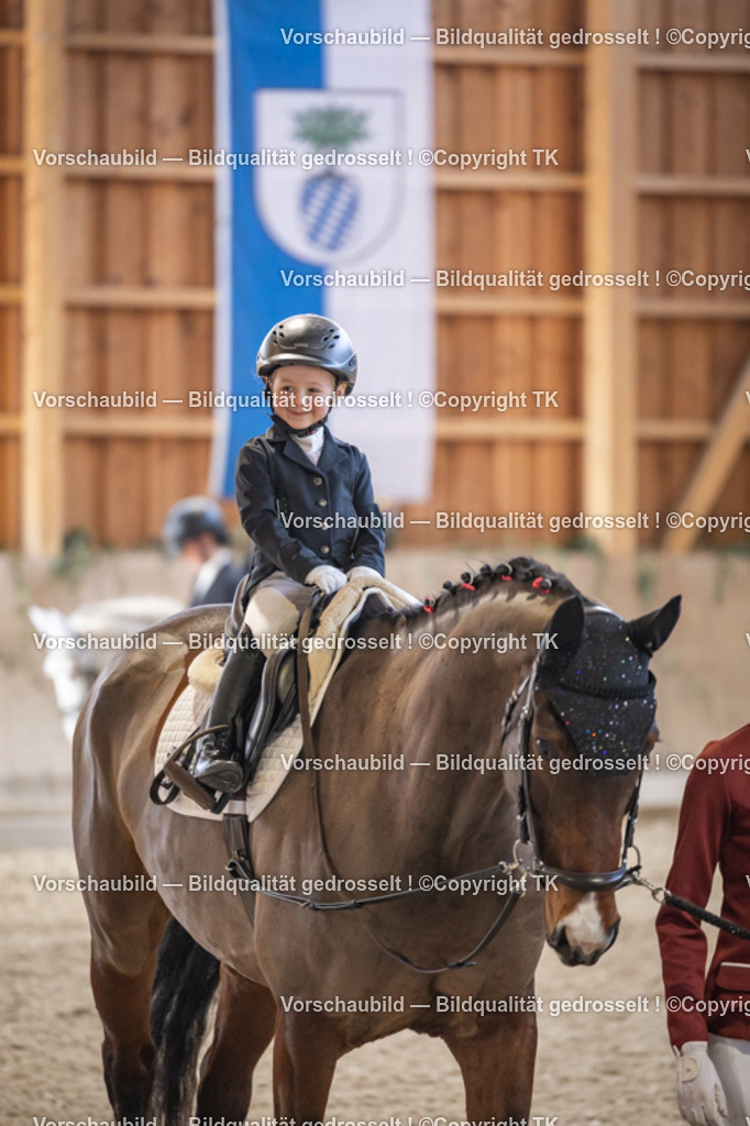 _D5A5260 | Emotionale Pferde- & People-Fotografie rund um Heidelberg, Leimen & Umgebung. Natürliche Fotos von Pferd, Mensch & Familie. Jetzt Termin sichern!