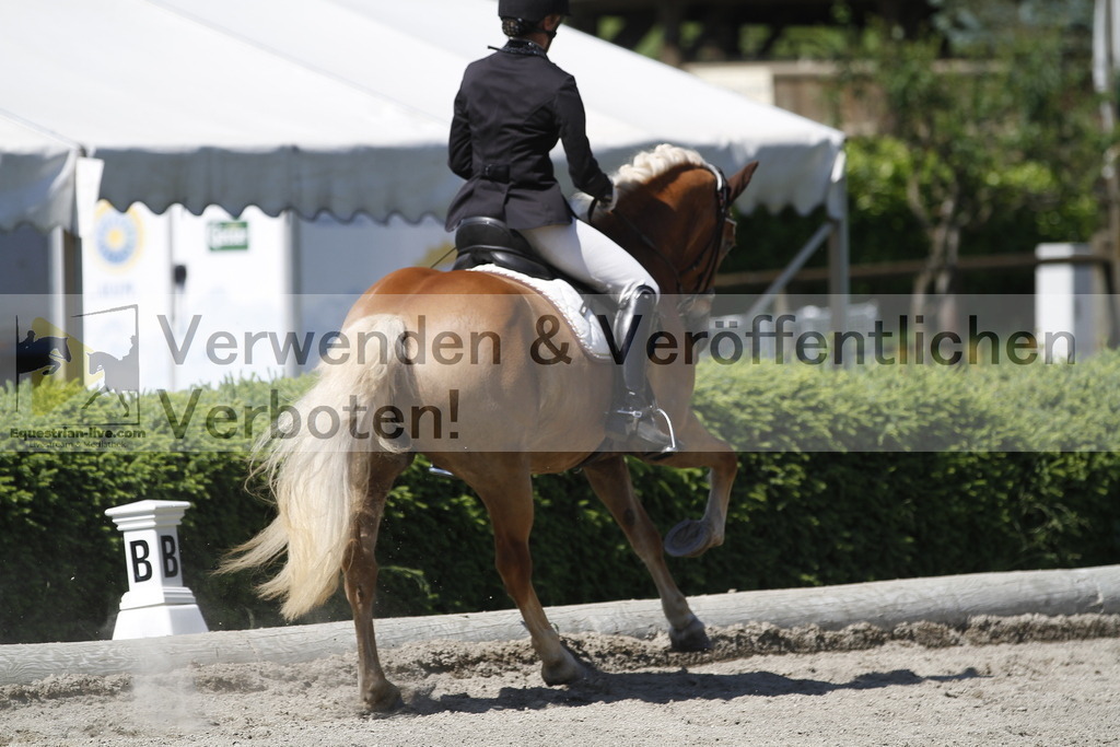 _MG_4189 | equestrian-live-com