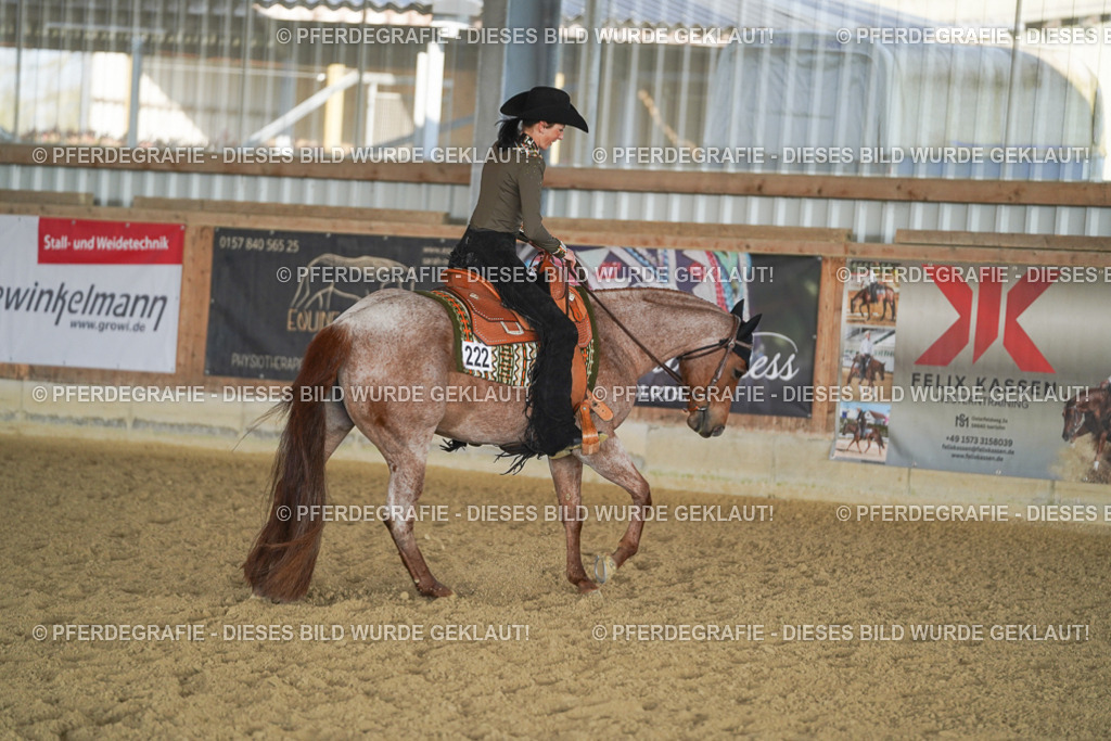 DSC09184 | Pferdegrafie