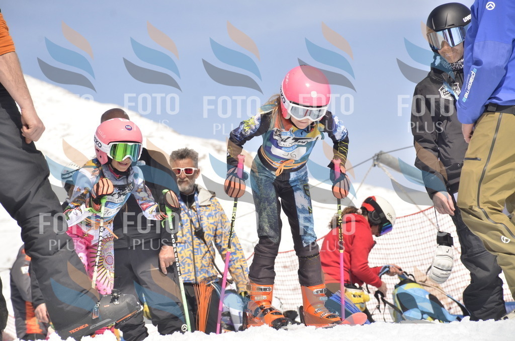 _ELE9316 | holidayphoto