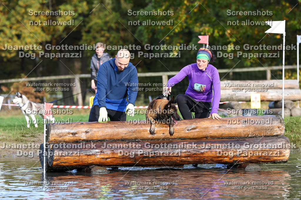 Dog Paparazzi - Strongdog 10-25-8340 | Dog Paparazzi Jeanette Grottendiek Fotografie & Videografie - Realisiert mit Pictrs.com