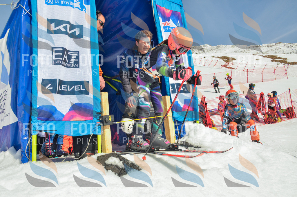 _ELE5158 | holidayphoto