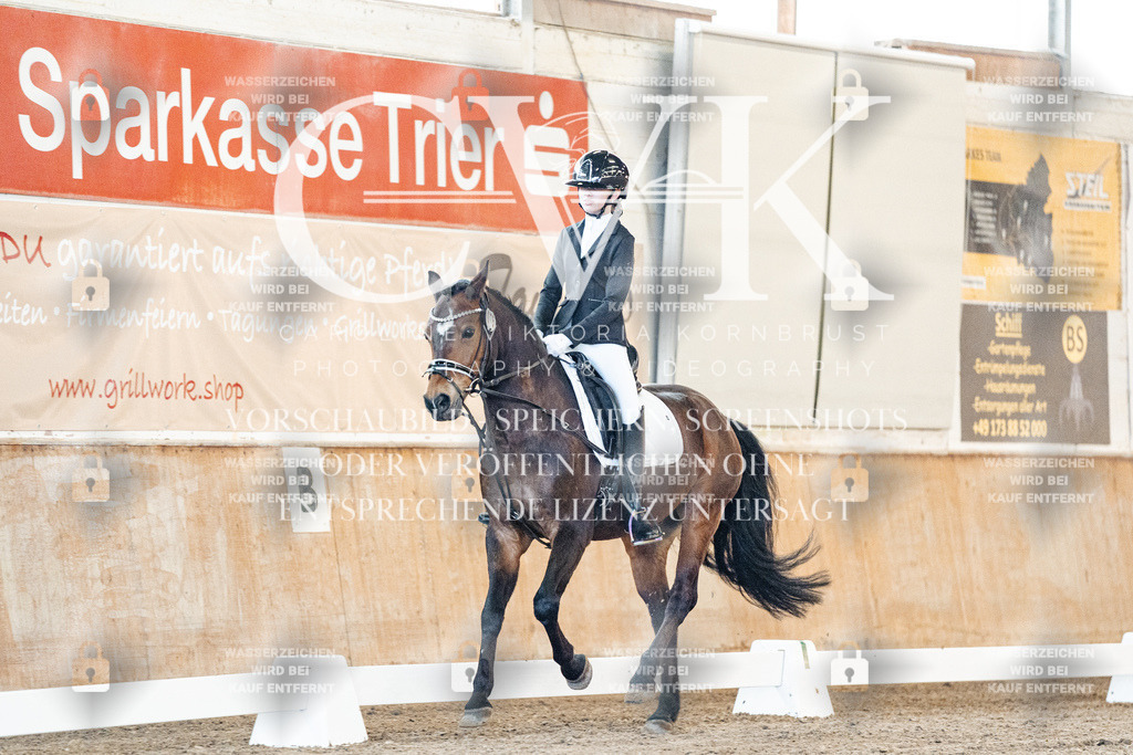 CK906623 | Turnierfotografie Pferdefotografie Trier Rheinland-Pfalz Pferdesport Reitsport Tierfotografie Sportfotografie Pferdevideo Pferdevideografie Equestrianvideography equestrianphotography  - Realisiert mit Pictrs.com