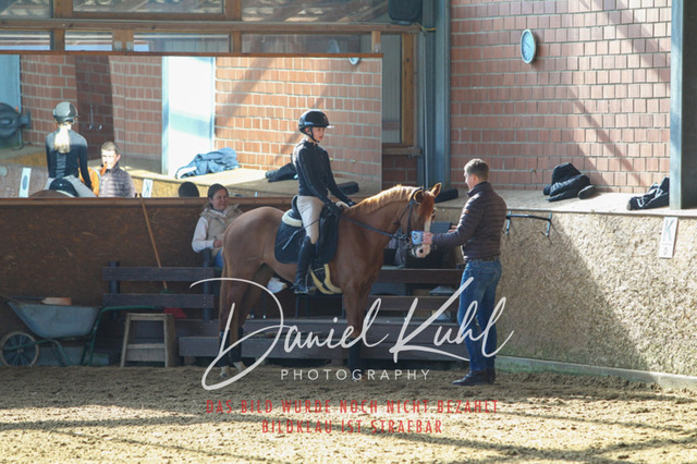 DKP42172 | Turniersportfotografie; Pferdefotografie; Dressurfotografie