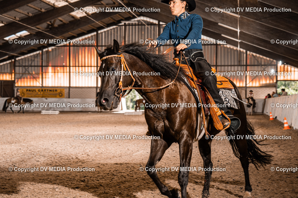 ZH100270 | dv-media-shop - Realisiert mit Pictrs.com