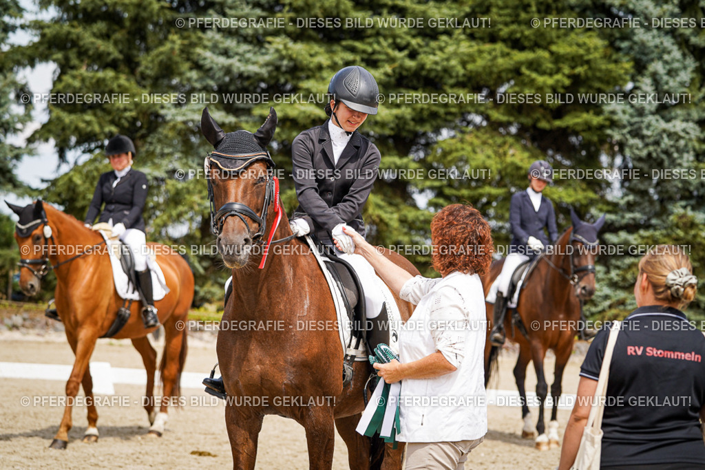 DSC04538 | Pferdegrafie