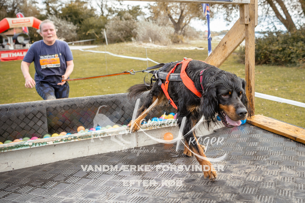1347_ZZ92200-2 | kk-dogfotos