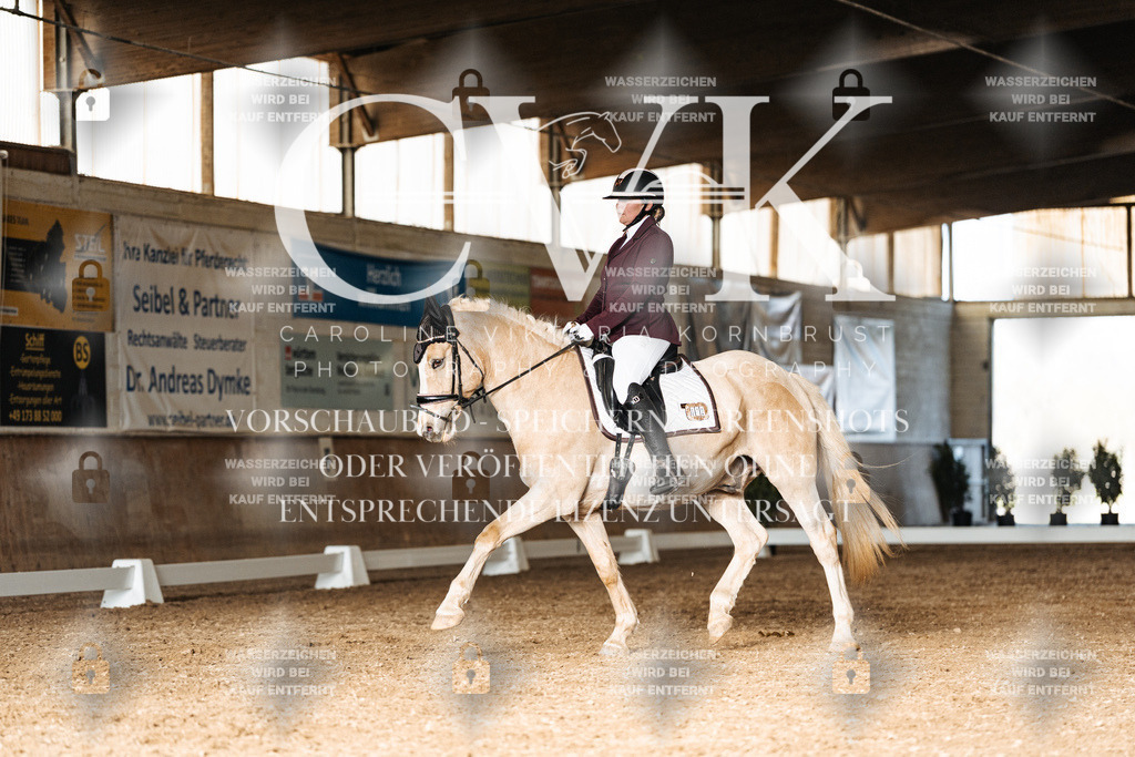 CK902635 | Turnierfotografie Pferdefotografie Trier Rheinland-Pfalz Pferdesport Reitsport Tierfotografie Sportfotografie Pferdevideo Pferdevideografie Equestrianvideography equestrianphotography  - Realisiert mit Pictrs.com