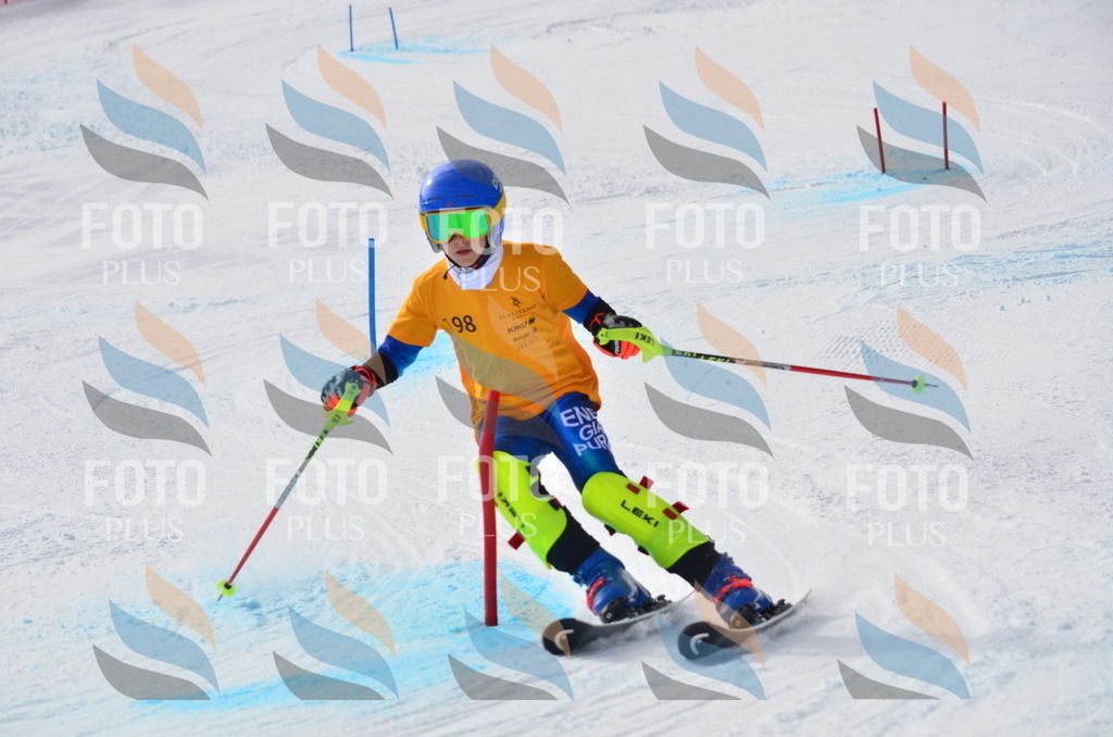 C8106 | holidayphoto