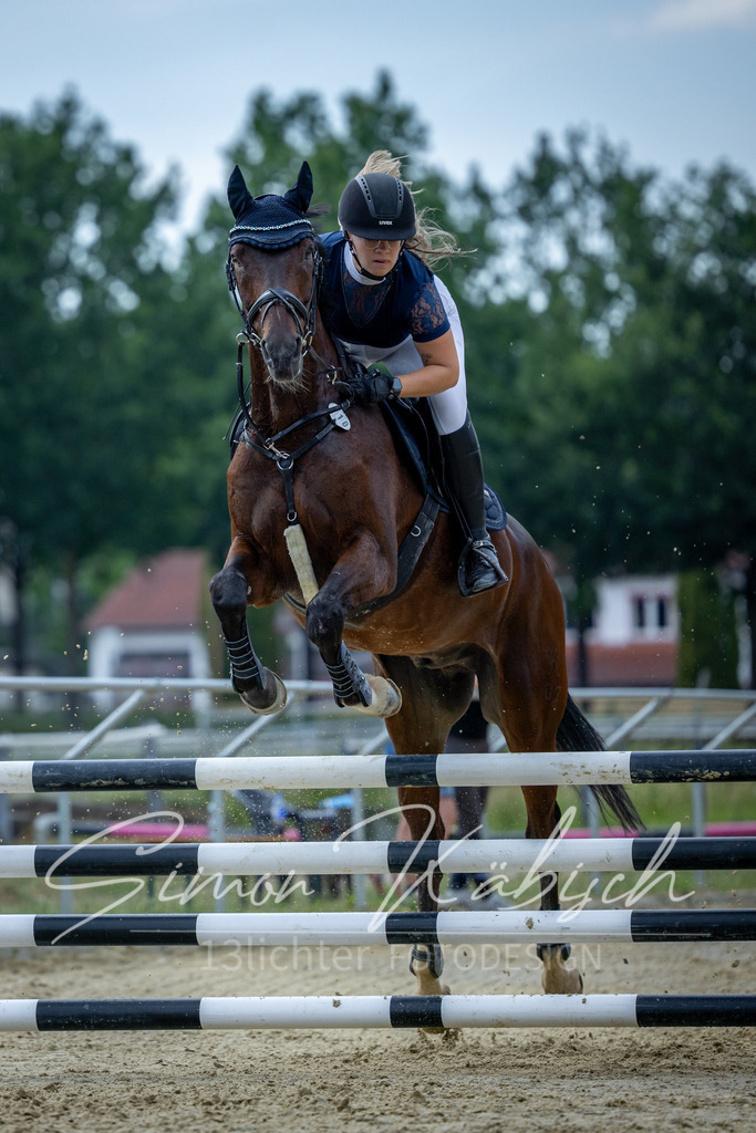 20260704-_3LI1773 | Tierfotografie Pferde, Hunde, Katzen, Haustiere.
Turnierfotografie Reitturniere, Reiten, Springreiten, Dressur in Hanau, dem Main-Kinzig-Kreis und dem Rhein-Main- Gebiet um Frankfurt