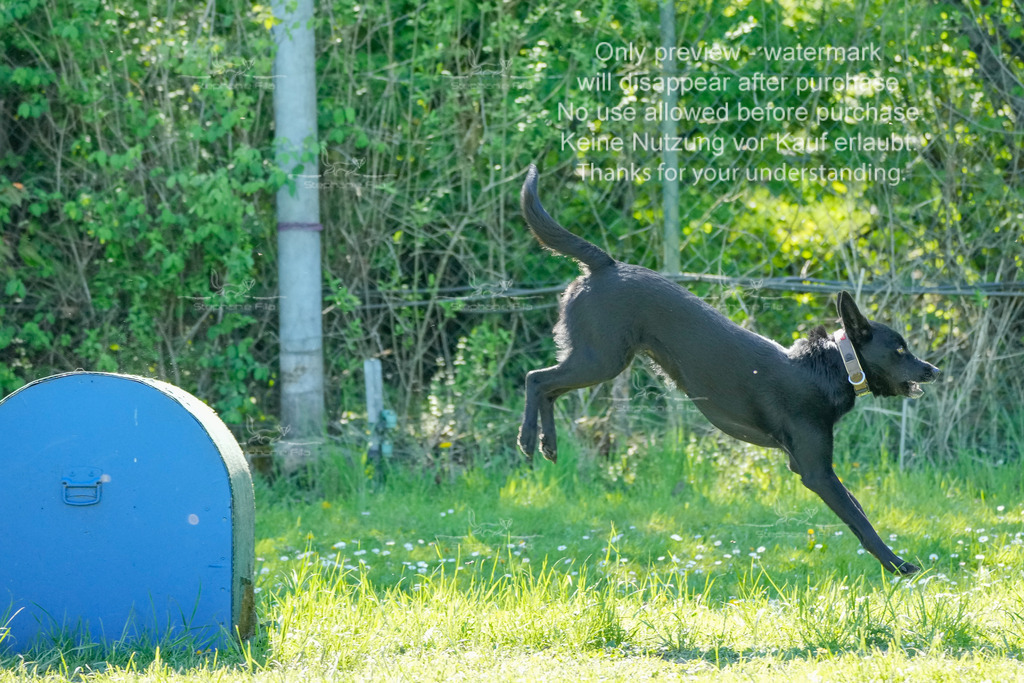 Sa_VK3_03-20 | stephaniefillaphotographie - Realisiert mit Pictrs.com