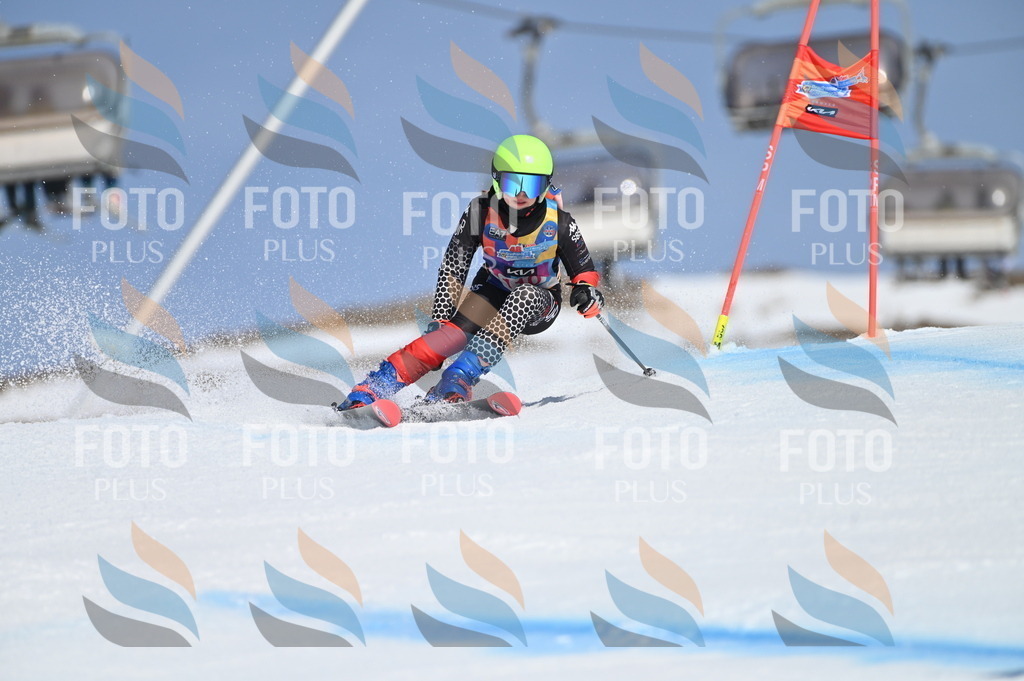 BGV_9633 | holidayphoto