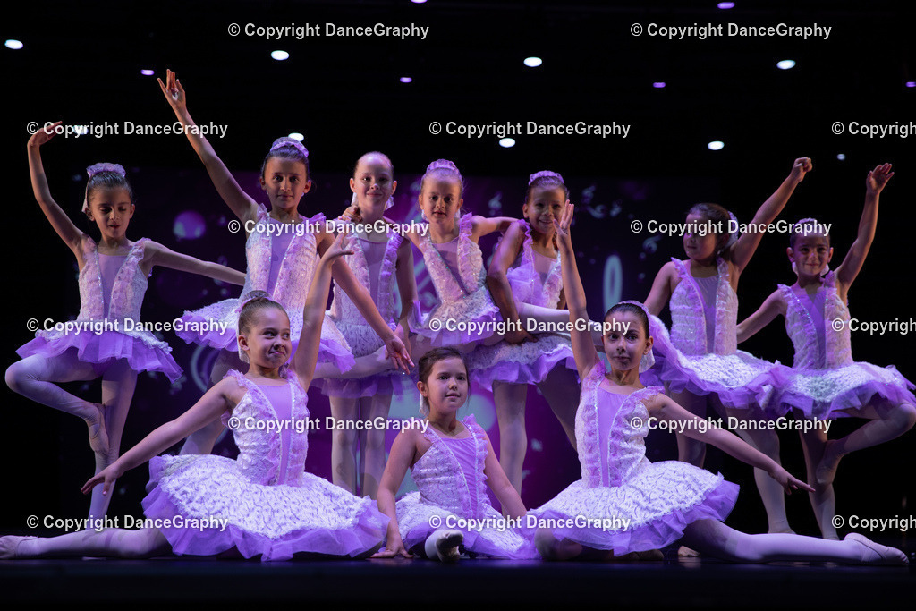 GPHY4853 | DanceGraphy - Realisiert mit Pictrs.com