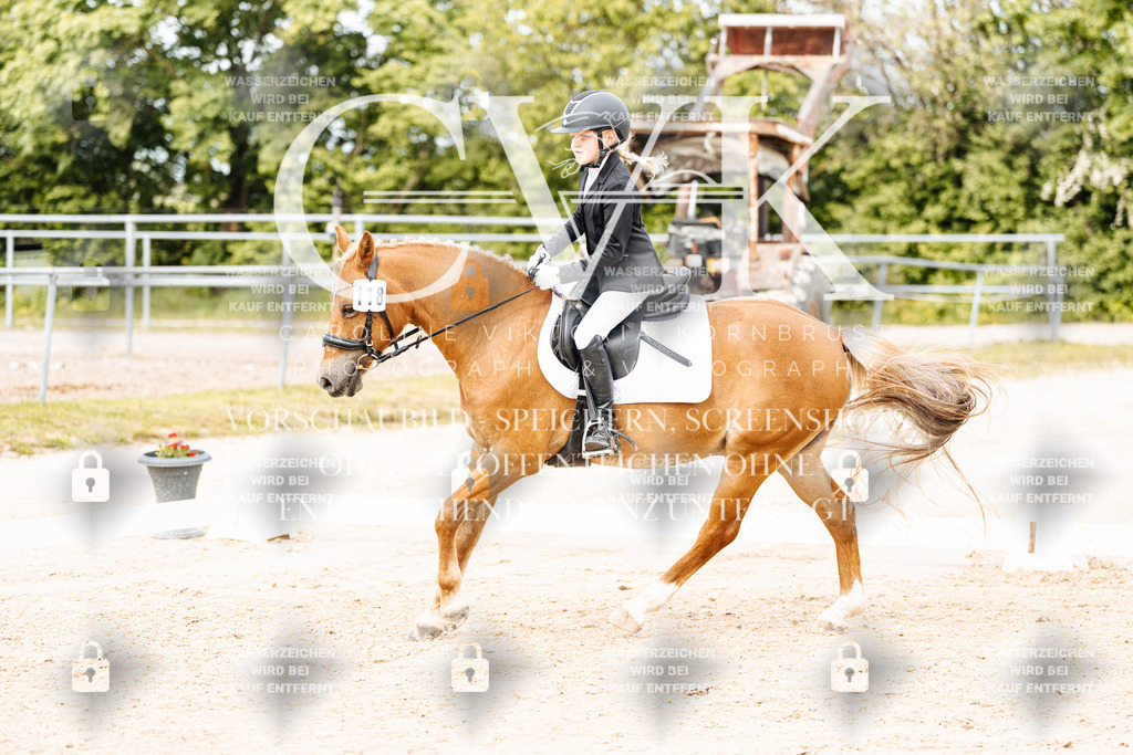 CK904655 | Turnierfotografie Pferdefotografie Trier Rheinland-Pfalz Pferdesport Reitsport Tierfotografie Sportfotografie Pferdevideo Pferdevideografie Equestrianvideography equestrianphotography  - Realisiert mit Pictrs.com