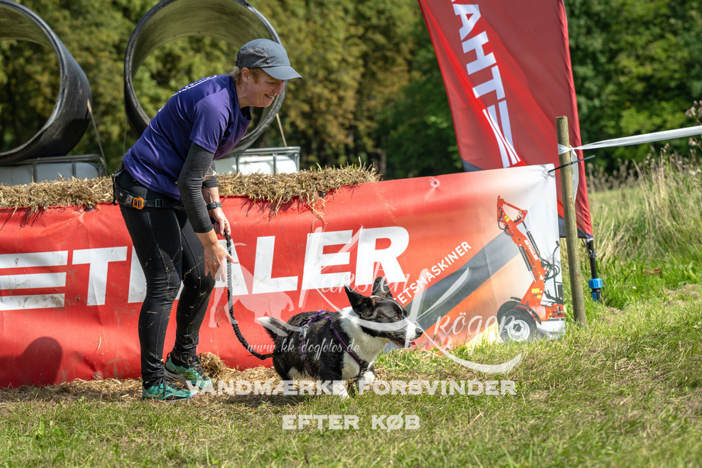 1303_ZZ91911 | kk-dogfotos