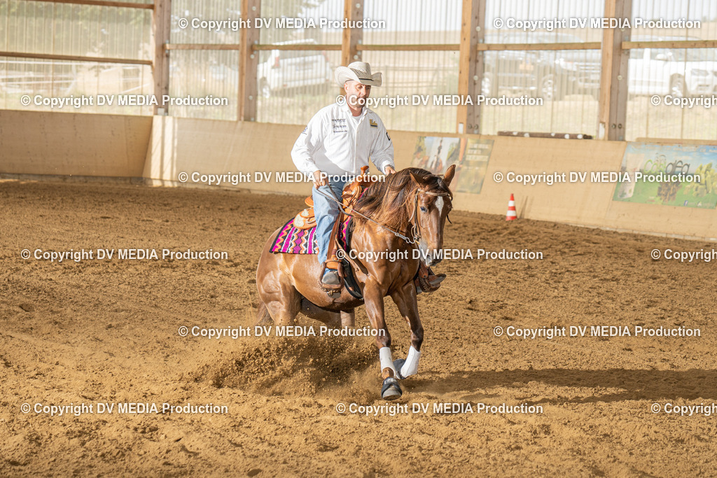 LAU01615 | dv-media-shop - Realisiert mit Pictrs.com