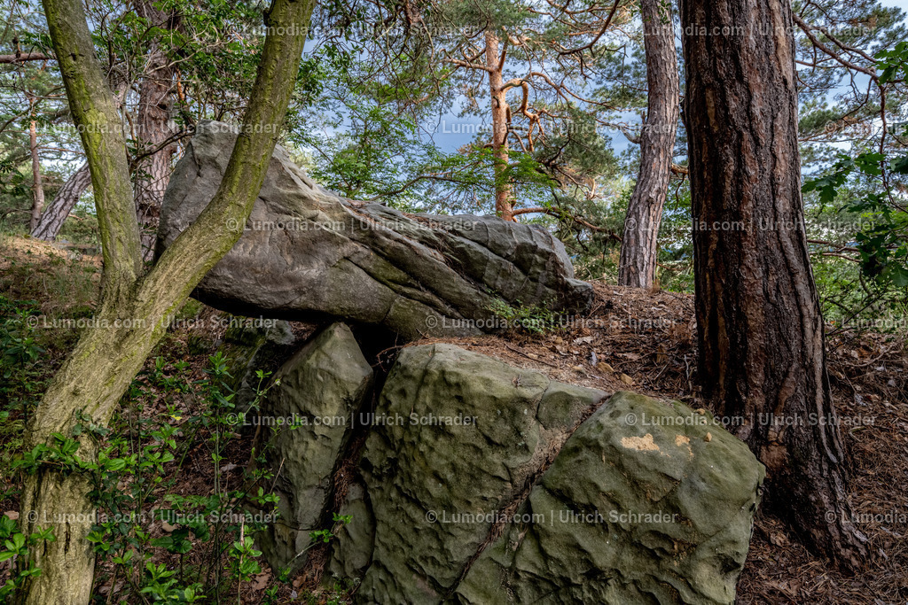 10049-11125 - Landschaft bei Langenstein | max. Auflösung 8256 x 5504 - Realisiert mit Pictrs.com
