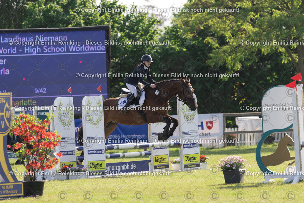 CL5A0542 | Emilia Reinking Fotografie - Realisiert mit Pictrs.com