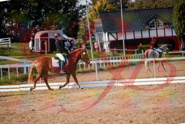 2026_10_03_Siefer-Hof_122036_Z63_43456601 | Professionelle Reitsport-, Turnier- und Eventfotografie von Robert Broda. Galerien mit ausgewählten und bearbeiteten Bildern direkt online ansehen und bestellen.