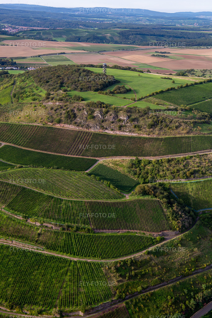 Luftbild: Heimbergturm Schloßböckelheim in Schloßböckelheim im Bundesland Rheinland-Pfalz in Deutschland. Foto: IMG_138197.jpg vom 03.09.2023 durch Werner Riehm/FLY-FOTO.de