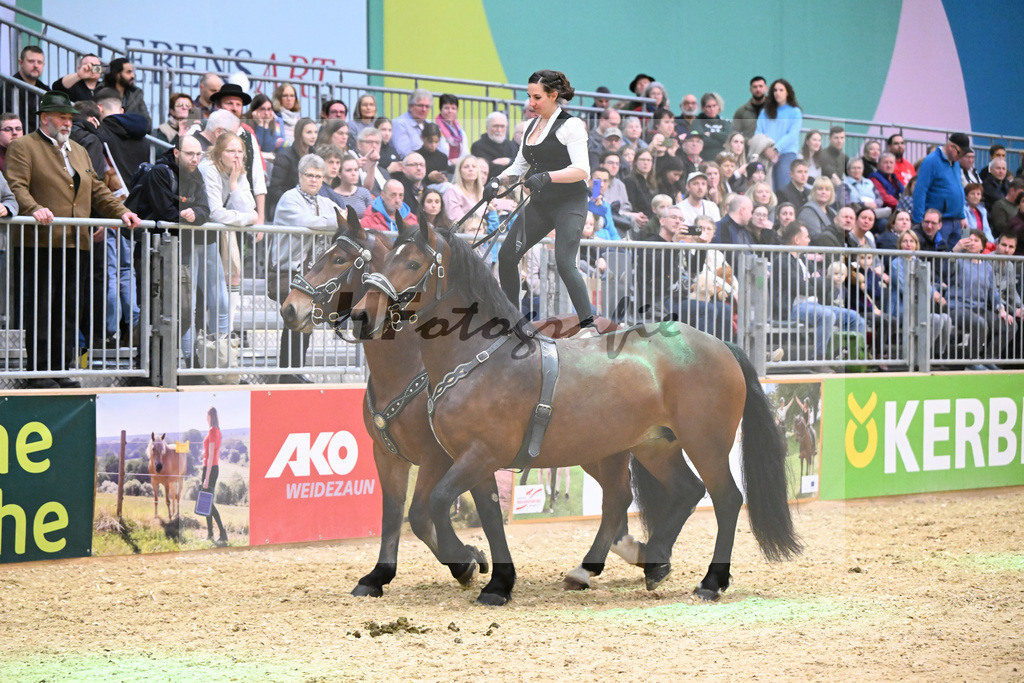 Schauprogramm_Ungar. Post_1260915 | hf-fotografie - Realisiert mit Pictrs.com