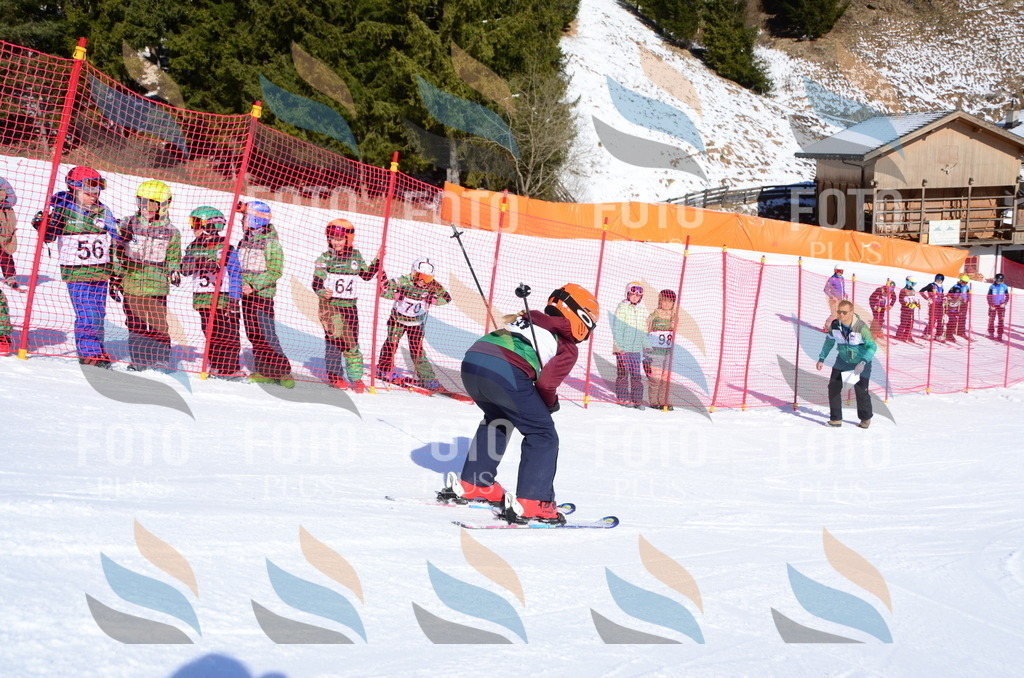 C4719 | holidayphoto