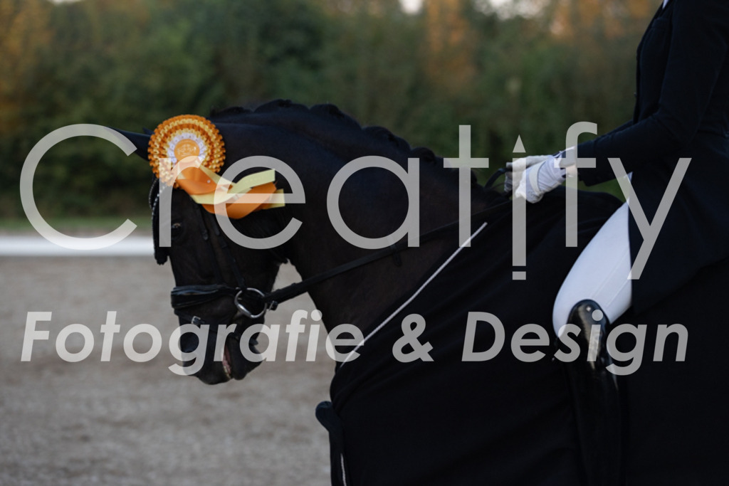 IMG_2008 | Creatify Fotografie