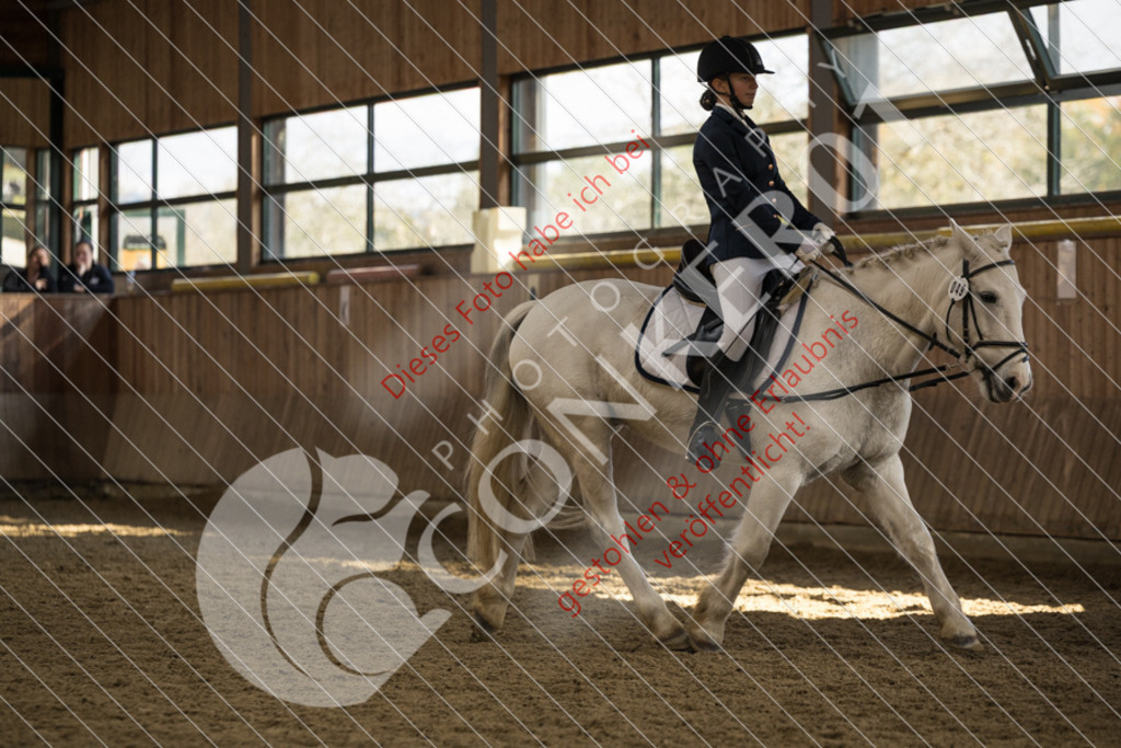 CON_6015 | Sport-, Event- und Tierfotos in Profiqualität. Einfach auswählen, bestellen und herunterladen. Dein Moment – perfekt festgehalten.