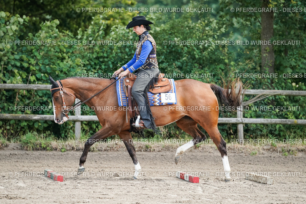 DSC06229 | Pferdegrafie