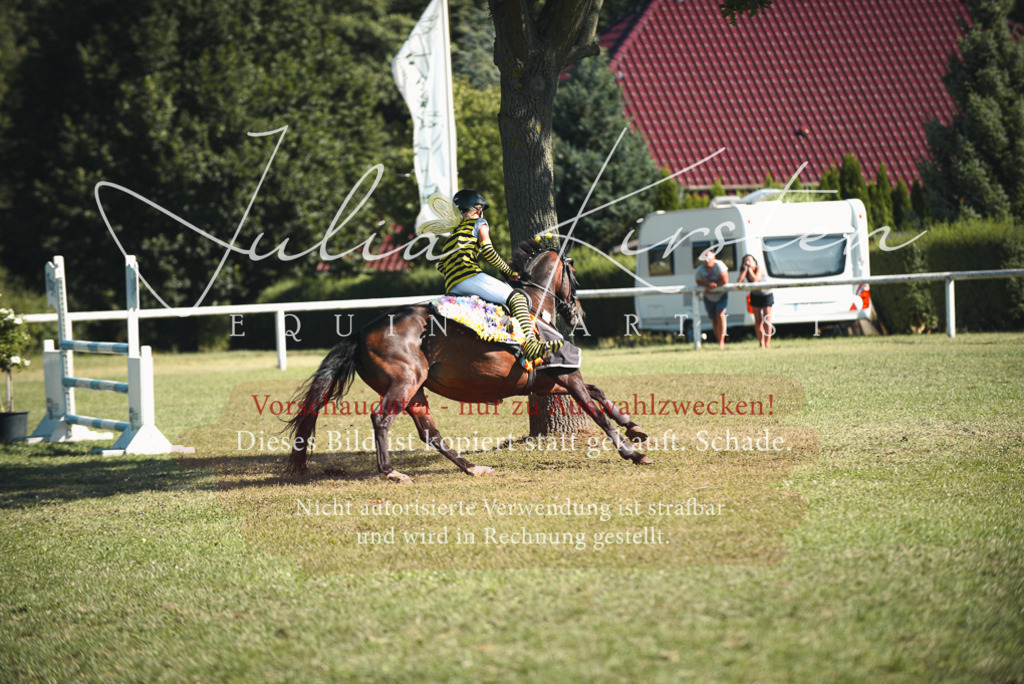DSC_7678 | Pferde- und Turnierfotografie in Westsachsen. Pferdeportraits, Auftragszeichnungen und intuitive Kunst.