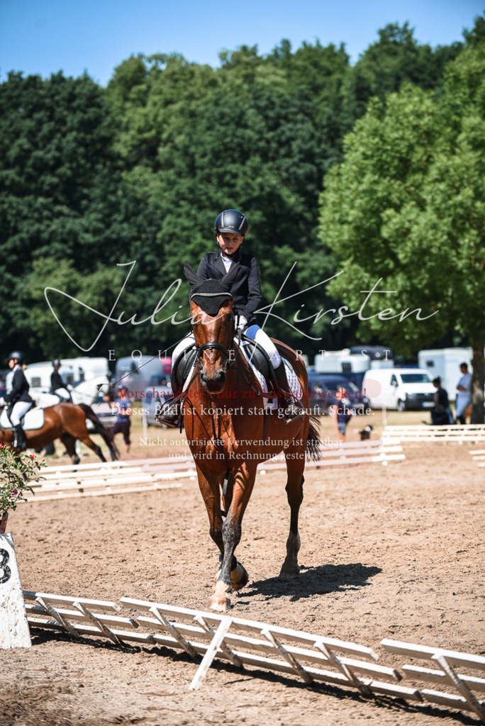 DSC_3019 | Pferde- und Turnierfotografie in Westsachsen. Pferdeportraits, Auftragszeichnungen und intuitive Kunst.