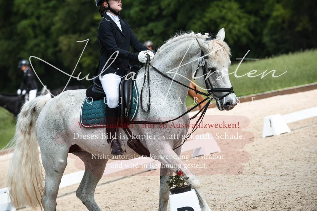 20230518_JK-Röhrsdorf-11-0652 | Pferde- und Turnierfotografie in Westsachsen. Pferdeportraits, Auftragszeichnungen und intuitive Kunst.