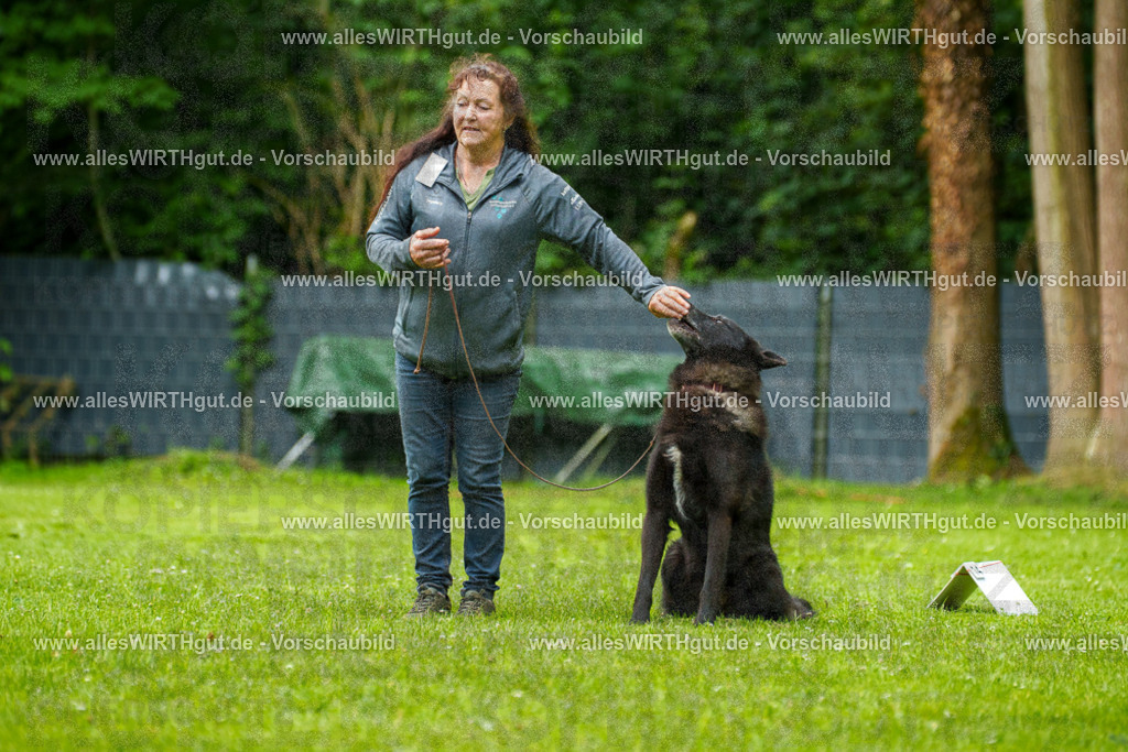 @allesWIRTHgut_Tierfotografie - www.allesWIRTHgut.de - 135631-7R500212 | Professionelle Tierfotografie in Mönchengladbach von Daniel Wirth (allesWIRTHgut). Liebevolle & natürliche Bilder von Hunden & Katzen für unvergessliche Erinnerungen.